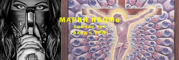 эйфоретик Белокуриха