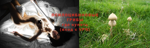 бутират Беломорск